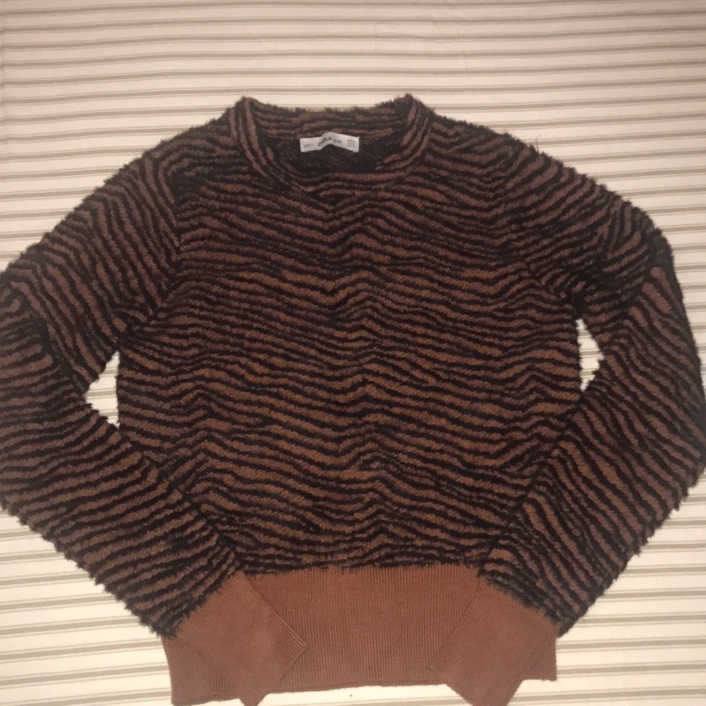 Zara Animal Print Sweater
